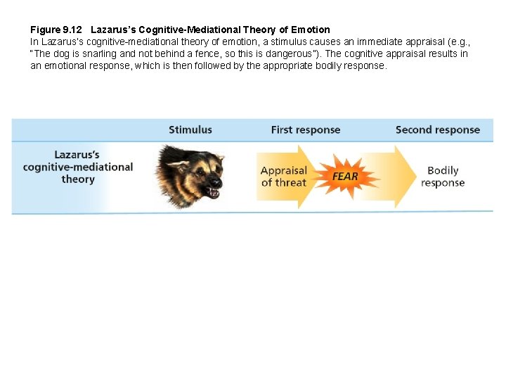 Figure 9. 12 Lazarus’s Cognitive-Mediational Theory of Emotion In Lazarus’s cognitive-mediational theory of emotion,