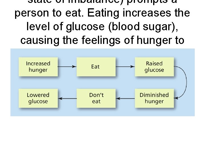 state of imbalance) prompts a person to eat. Eating increases the level of glucose