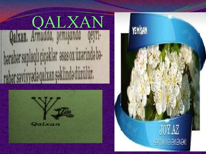 QALXAN 