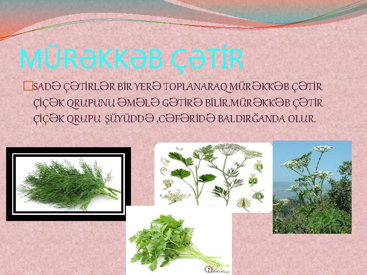 MÜRƏKKƏB ÇƏTİR �SADƏ ÇƏTİRLƏR BİR YERƏ TOPLANARAQ MÜRƏKKƏB ÇƏTİR ÇİÇƏK QRUPUNU ƏMƏLƏ GƏTİRƏ BİLİR.