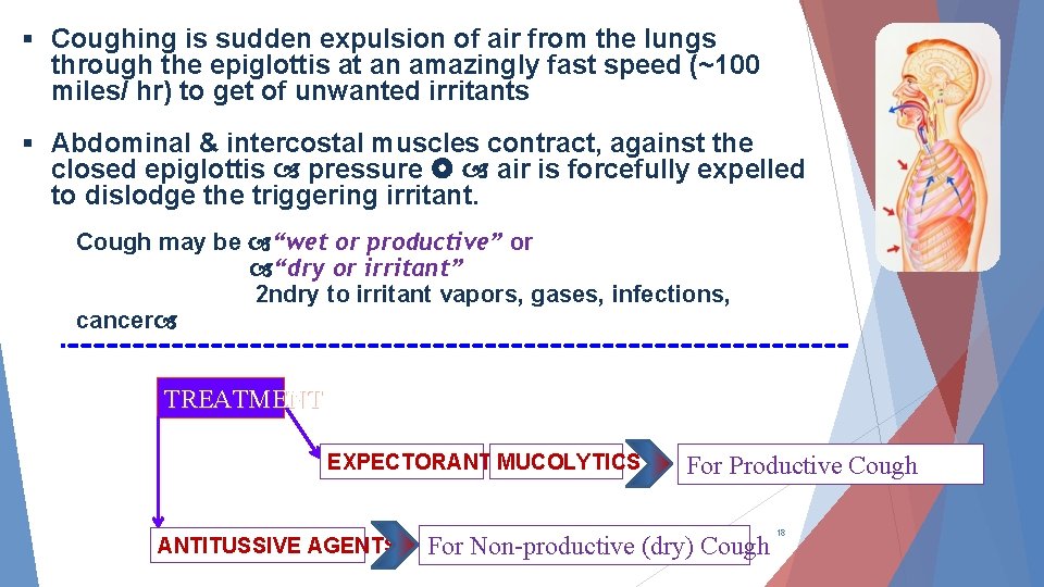 § Coughing is sudden expulsion of air from the lungs through the epiglottis at