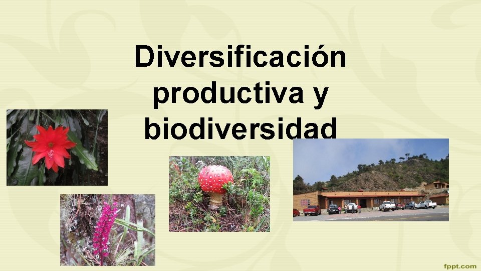 Diversificación productiva y biodiversidad 