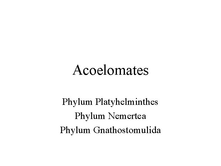 Acoelomates Phylum Platyhelminthes Phylum Nemertea Phylum Gnathostomulida 