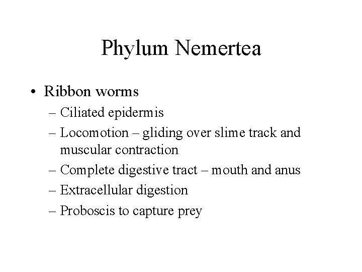 Phylum Nemertea • Ribbon worms – Ciliated epidermis – Locomotion – gliding over slime
