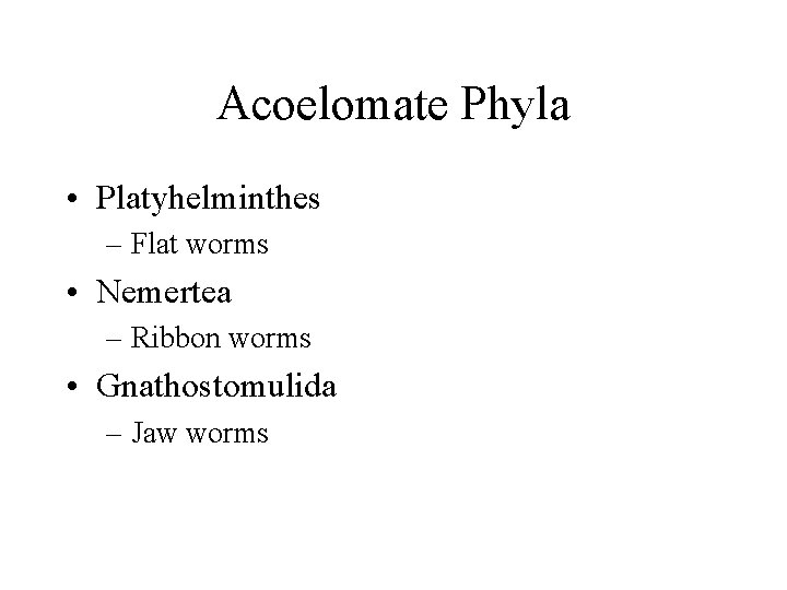 Acoelomate Phyla • Platyhelminthes – Flat worms • Nemertea – Ribbon worms • Gnathostomulida