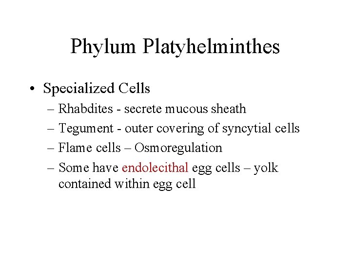 Phylum Platyhelminthes • Specialized Cells – Rhabdites - secrete mucous sheath – Tegument -