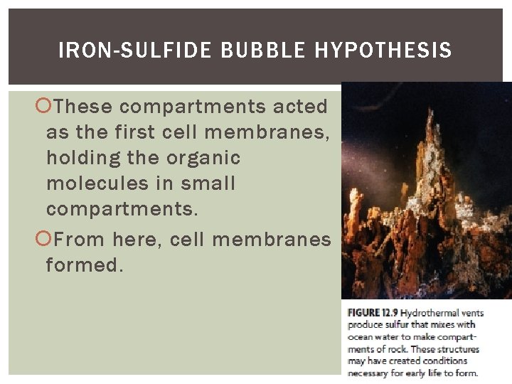 IRON-SULFIDE BUBBLE HYPOTHESIS These compartments acted as the first cell membranes, holding the organic IRON-SULFIDE BUBBLE HYPOTHESIS These compartments acted as the first cell membranes, holding the organic
