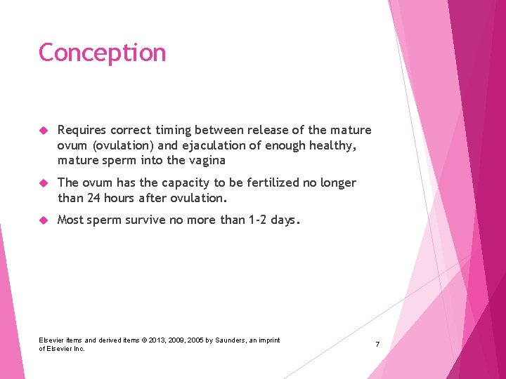 Chapter 12 Conception And Prenatal Development Elsevier Items