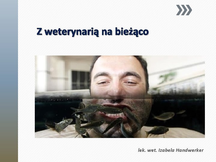 Z weterynarią na bieżąco lek. wet. Izabela Handwerker 