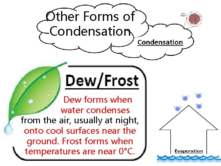 Other Forms of Condensation Dew forms when water condenses from the air, usually at