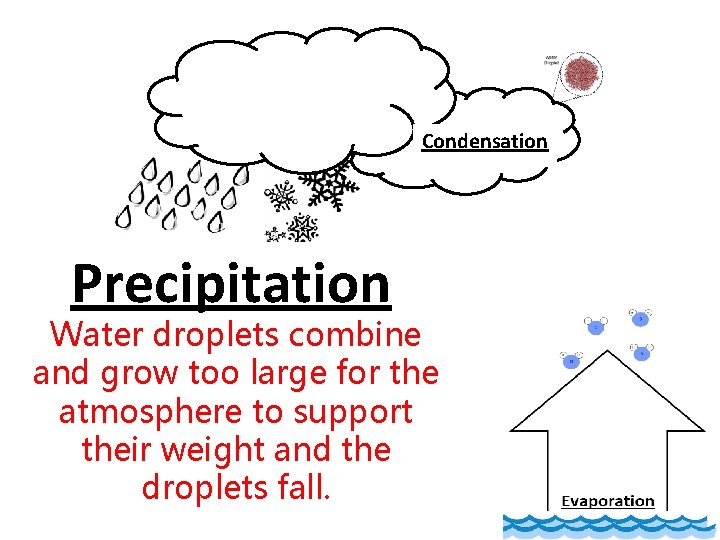 Condensation Precipitation Water droplets combine and grow too large for the atmosphere to support