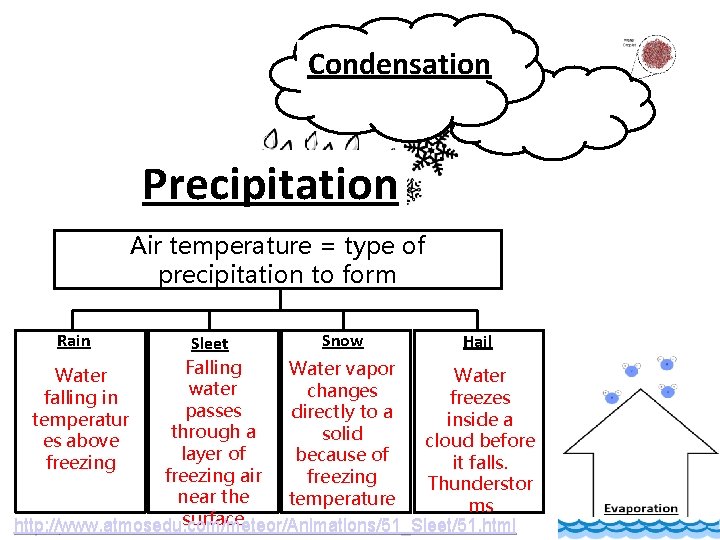 Condensation Precipitation Air temperature = type of precipitation to form Rain Snow Hail Sleet
