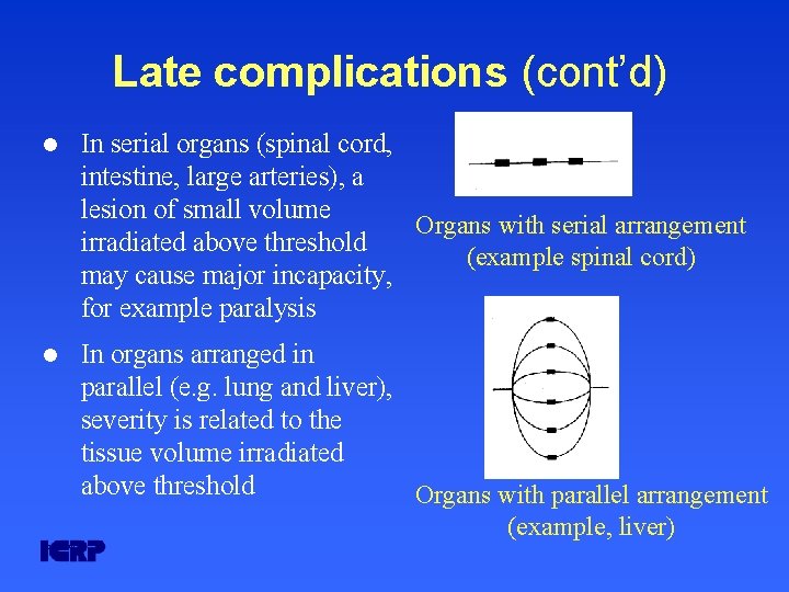 Late complications (cont’d) l In serial organs (spinal cord, intestine, large arteries), a lesion Late complications (cont’d) l In serial organs (spinal cord, intestine, large arteries), a lesion