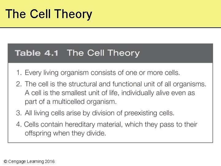 The Cell Theory © Cengage Learning 2016 