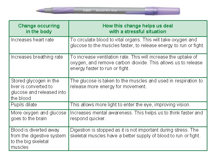 Change occurring in the body How this change helps us deal with a stressful Change occurring in the body How this change helps us deal with a stressful