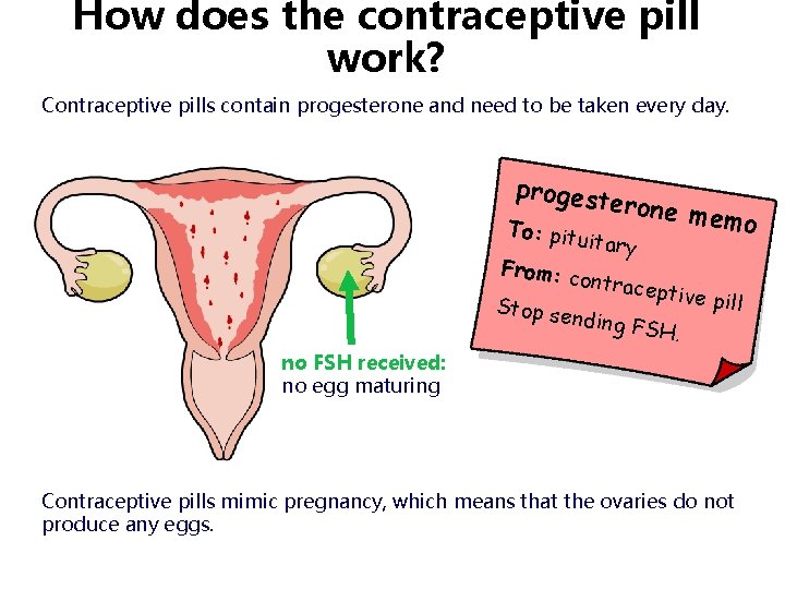 How does the contraceptive pill work? Contraceptive pills contain progesterone and need to be How does the contraceptive pill work? Contraceptive pills contain progesterone and need to be