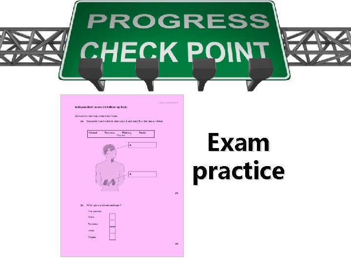Exam practice Exam practice