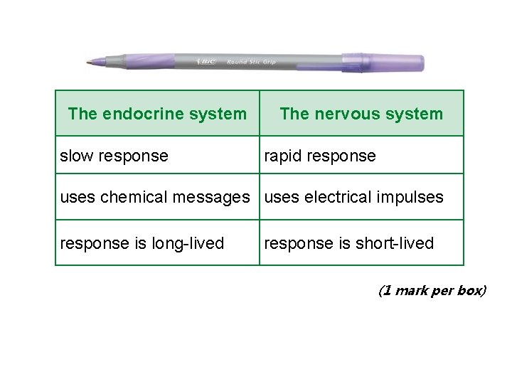 The endocrine system slow response The nervous system rapid response uses chemical messages uses The endocrine system slow response The nervous system rapid response uses chemical messages uses