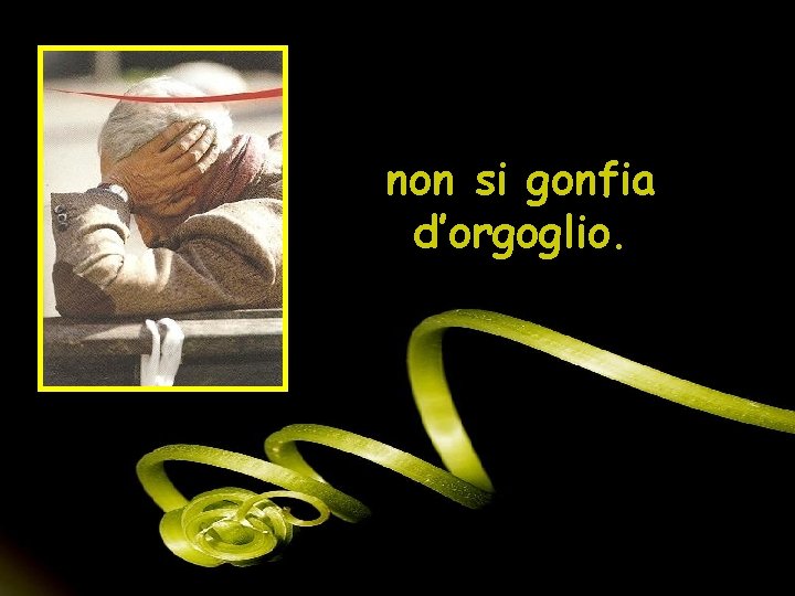 non si gonfia d’orgoglio. 