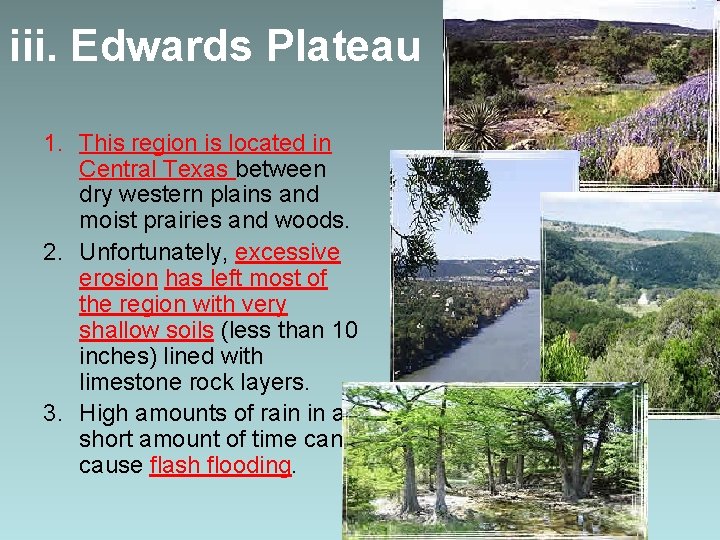 iii. Edwards Plateau 1. This region is located in Central Texas between dry western