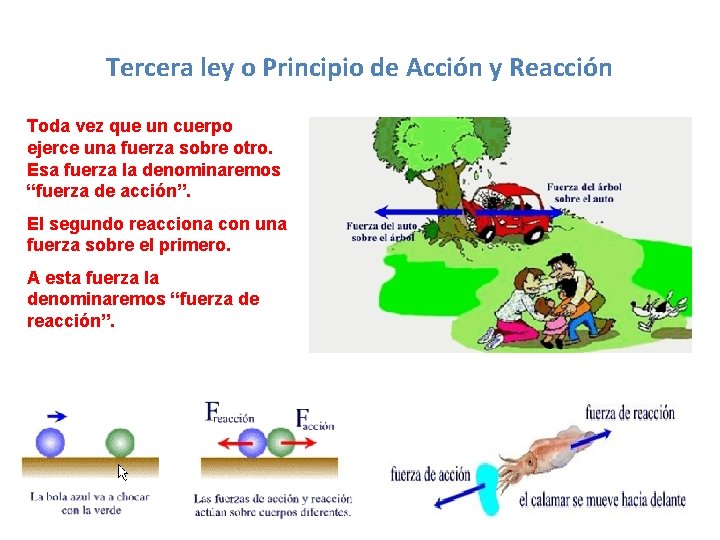 Tercera ley o Principio de Acción y Reacción Toda vez que un cuerpo ejerce