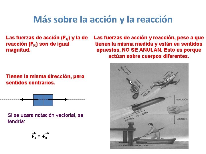 Más sobre la acción y la reacción Las fuerzas de acción (FA) y la