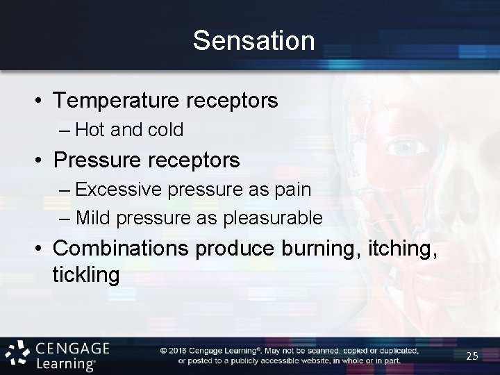 Sensation • Temperature receptors – Hot and cold • Pressure receptors – Excessive pressure