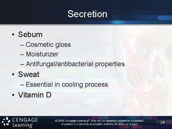 Secretion • Sebum – Cosmetic gloss – Moisturizer – Antifungal/antibacterial properties • Sweat –