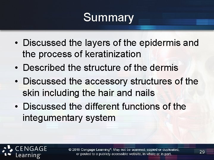 Summary • Discussed the layers of the epidermis and the process of keratinization •