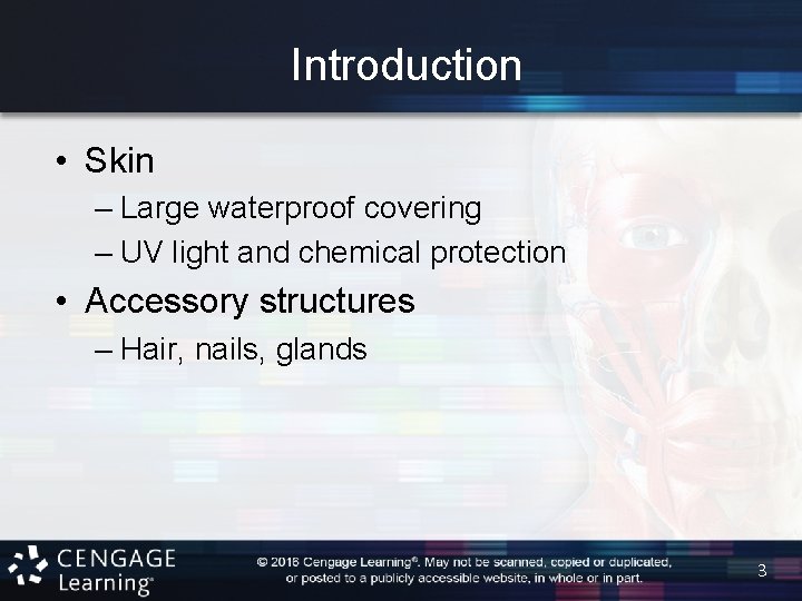 Introduction • Skin – Large waterproof covering – UV light and chemical protection •