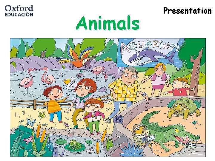Animals Presentation 