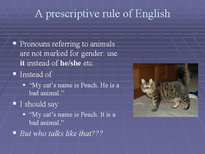 A prescriptive rule of English § Pronouns referring to animals are not marked for