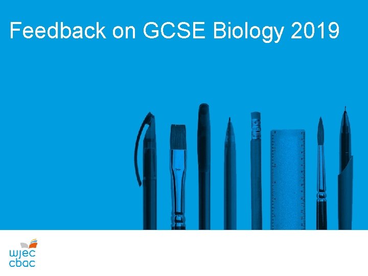 Feedback on GCSE Biology 2019 