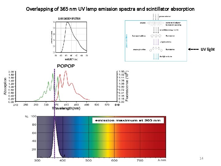 Overlapping of 365 nm UV lamp emission spectra and scintillator absorption UV light 14