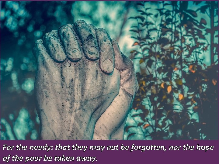 For the needy: that they may not be forgotten, nor the hope of the