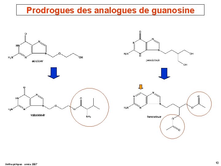 Prodrogues des analogues de guanosine Antiherpétiques - année 2007 10 