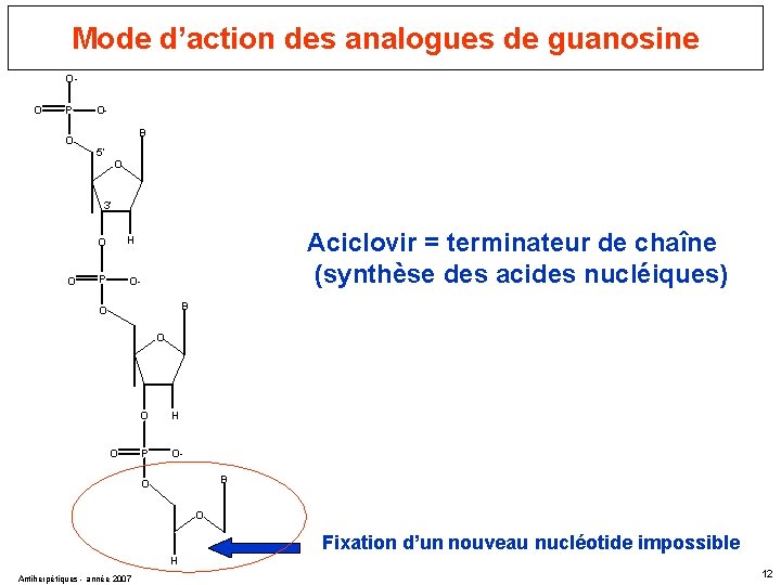 Mode d’action des analogues de guanosine OO P O OB 5’ O 3’ O