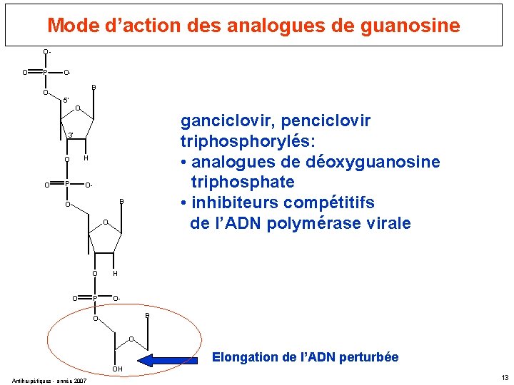 Mode d’action des analogues de guanosine OO P O OB 5’ O ganciclovir, penciclovir