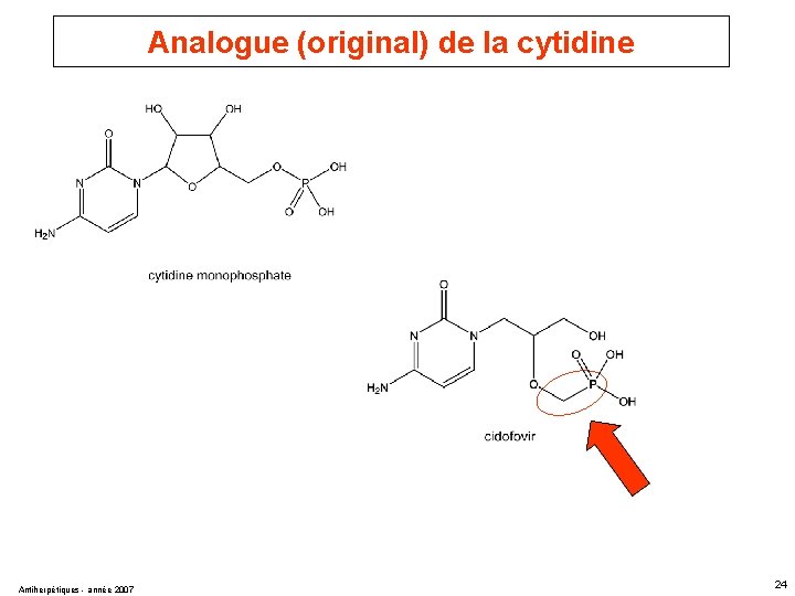 Analogue (original) de la cytidine Antiherpétiques - année 2007 24 