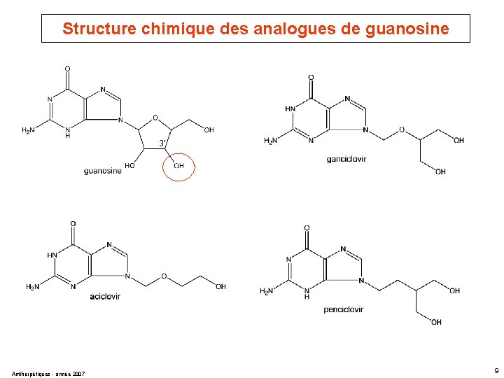 Structure chimique des analogues de guanosine 3' Antiherpétiques - année 2007 9 