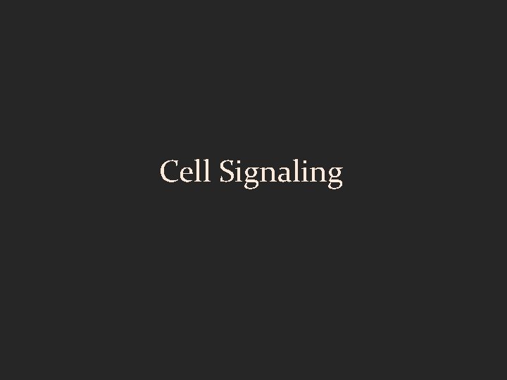 Cell Signaling 