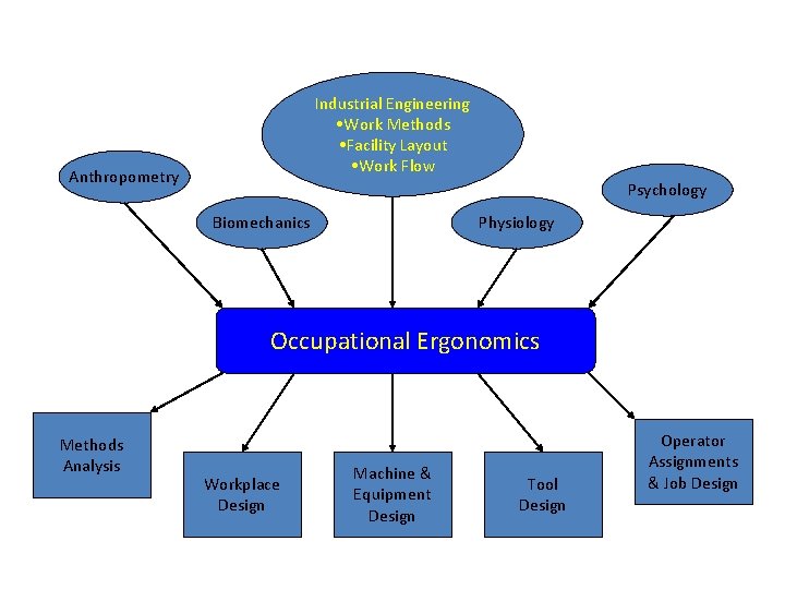 Industrial Engineering • Work Methods • Facility Layout • Work Flow Anthropometry Psychology Biomechanics