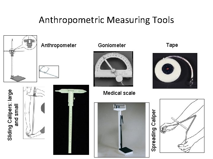 Anthropometric Measuring Tools Tape Goniometer Medical scale Spreading Caliper Sliding Calipers: large and small