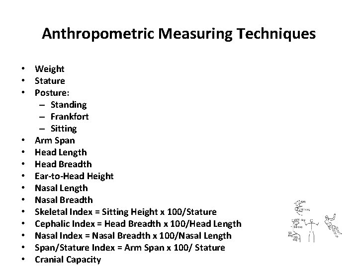 Anthropometric Measuring Techniques • Weight • Stature • Posture: – Standing – Frankfort –