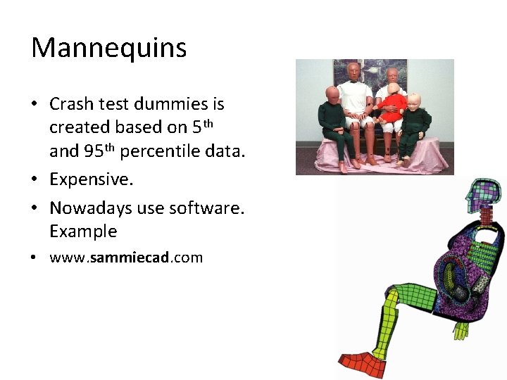 Mannequins • Crash test dummies is created based on 5 th and 95 th