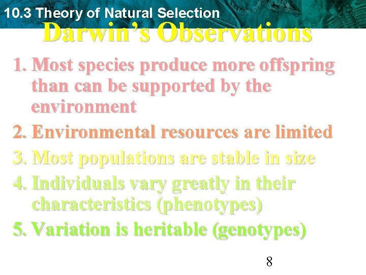 10. 3 Theory of Natural Selection Darwin’s Observations 1. Most species produce more offspring
