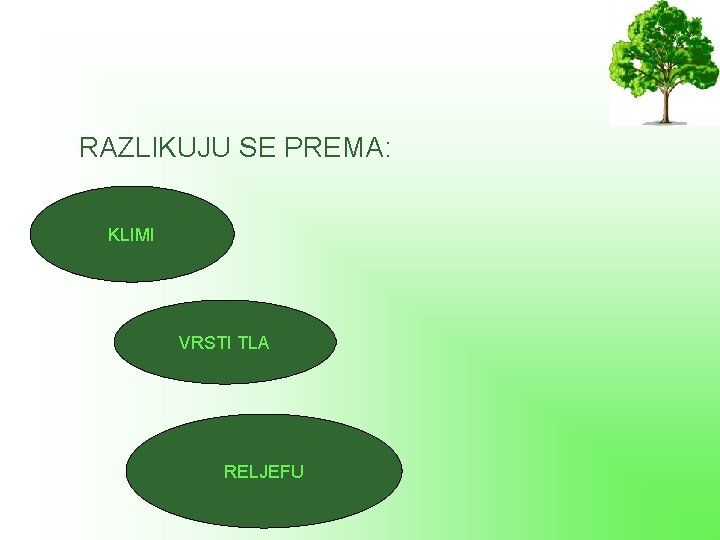 RAZLIKUJU SE PREMA: KLIMI VRSTI TLA RELJEFU 