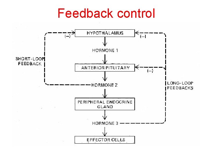 Feedback control 