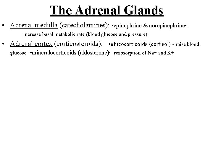 The Adrenal Glands • Adrenal medulla (catecholamines): • epinephrine & norepinephrine~ increase basal metabolic