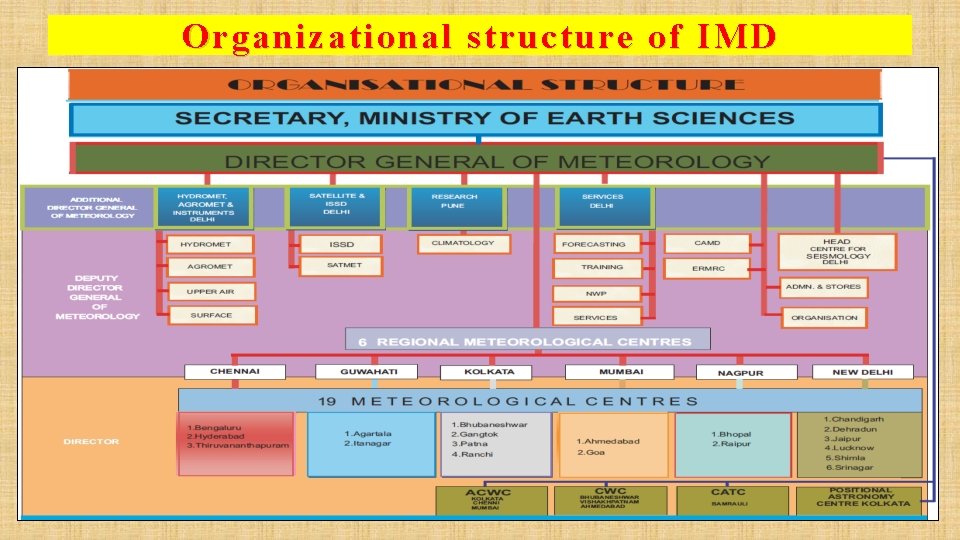 Organizational structure of IMD 